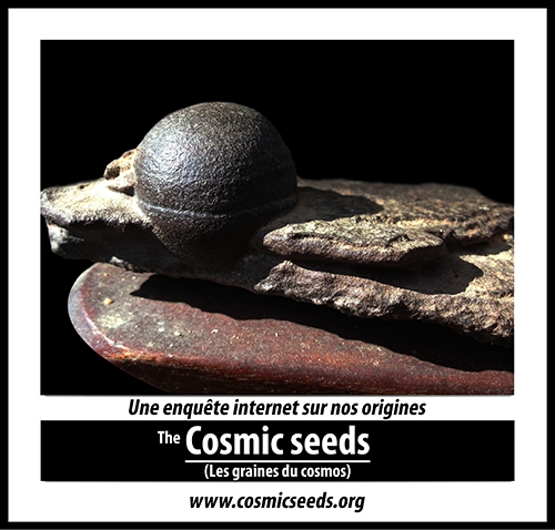 Cosmic Seeds, Sphère de Vie, graines cosmiques, www.cosmicseeds.org